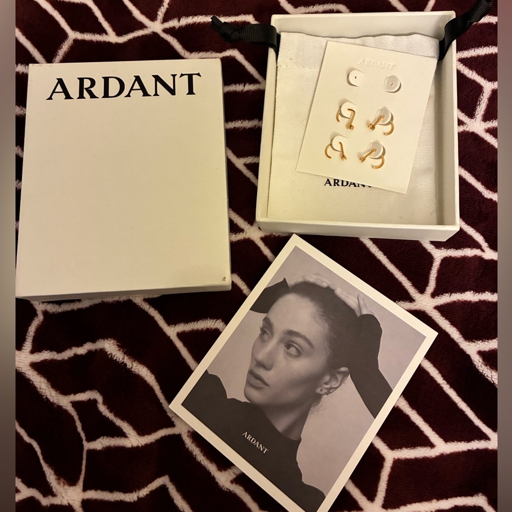 ARDANT 2 Pairs Huggie Hoop Earrings Set - Picture 4 of 8